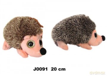 Jeż
