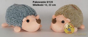 Jeżyk duży