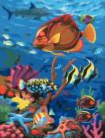 Junior painting by numbers Coral