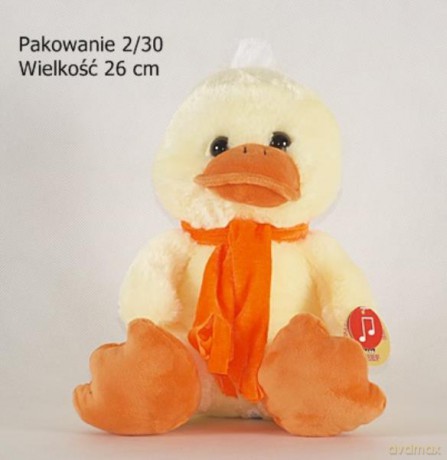 Kaczka w szaliku