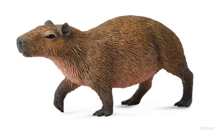 Kapibara gryzoń [FIGURKA]