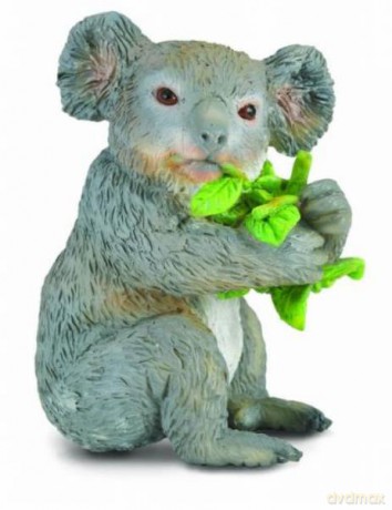Koala jedzący liście eukaliptusa [FIGURKA]