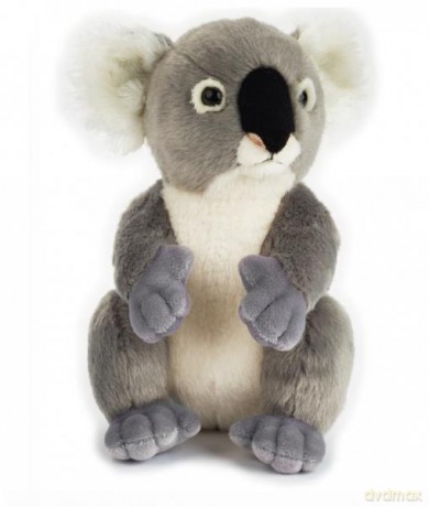 Koala plusz basic
