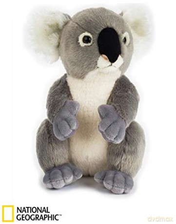 Koala plusz basic