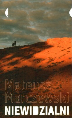 Niewidzialni - Mateusz Marczewski [KSIĄŻKA]