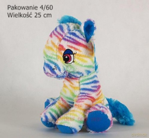 Konik siedzący tęczowy średni