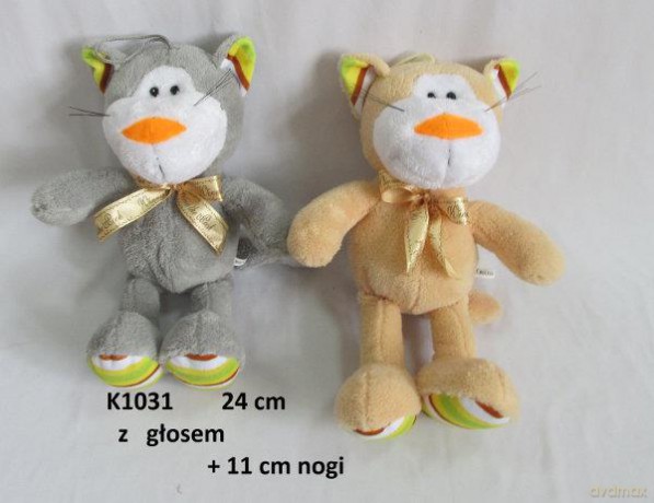 Kot