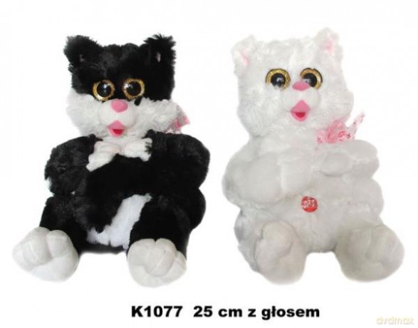 Kot
