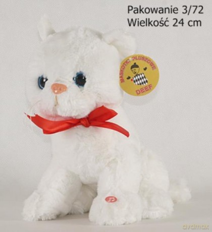 Kotek biały duży