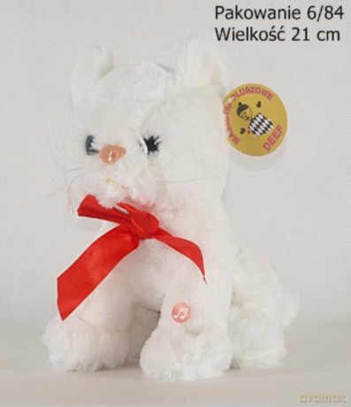 Kotek biały średni