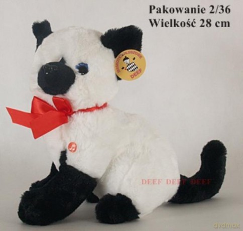 Kotek czarno-biały duży z głosem