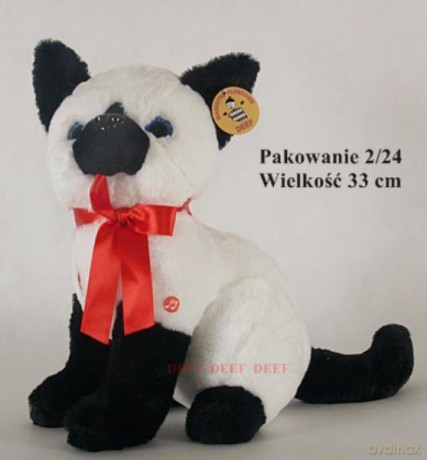 Kotek czarno-biały wielki