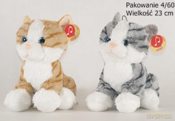 Kotek pręgowany mix kolorów