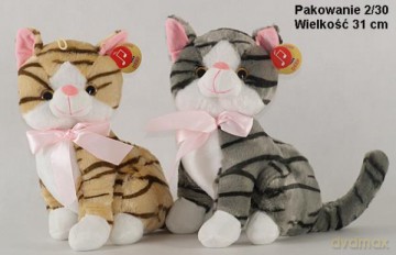 Kotek pręgowany siedzący duży