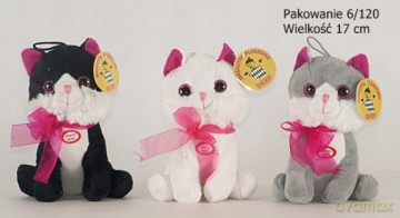 Kotek siedzący mały