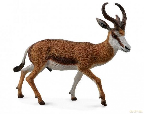 Kozica Springbok [FIGURKA]