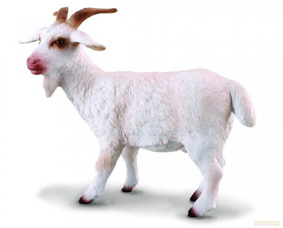 Kozioł [FIGURKA]