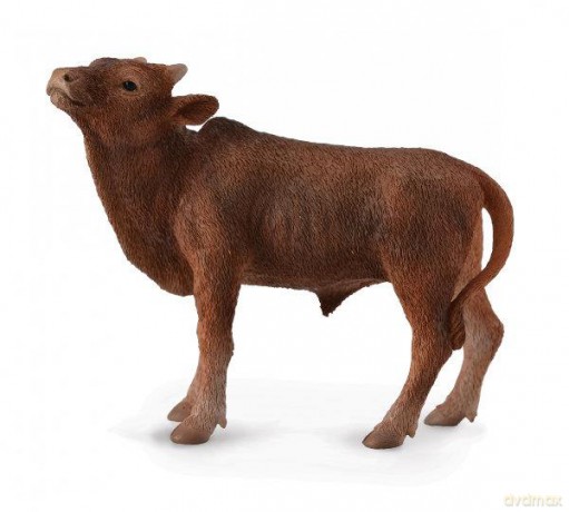 Krowa Ankole-watusi calf [FIGURKA]