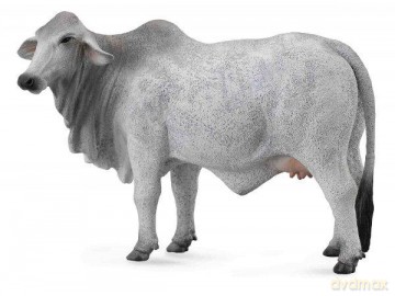 Krowa Braham [FIGURKA]