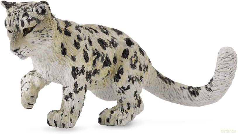 Leopard młody śnieżny bawiący się [FIGURKA]
