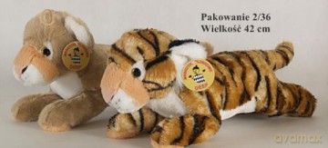 Lew/tygrys leżący wielki