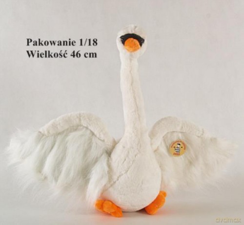 Łabędź