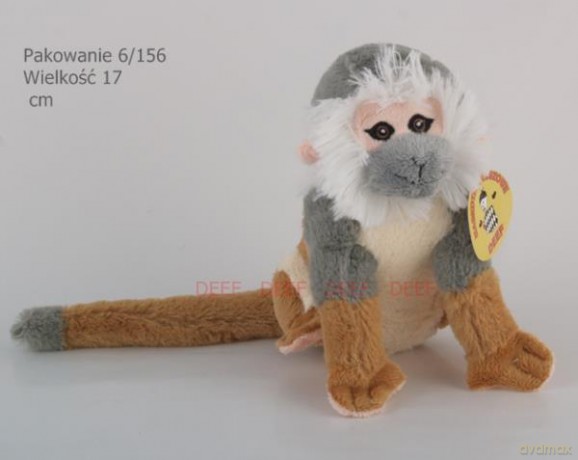 Małpeczka