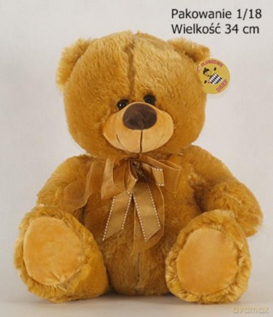 Miś brązowy