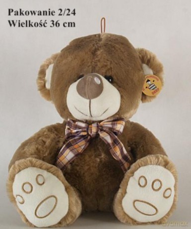 Miś nosek wielki