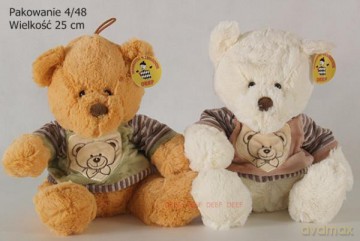 Miś Teddy