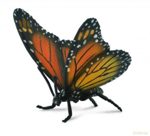 Motyl królewski [FIGURKA]