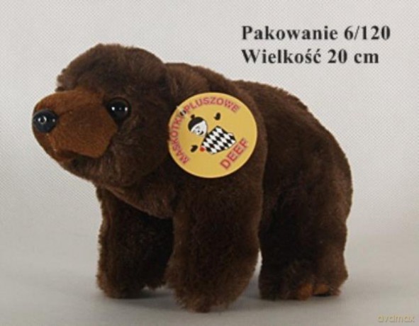 Niedźwiadek mały