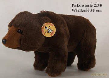 Niedźwiadek wielki