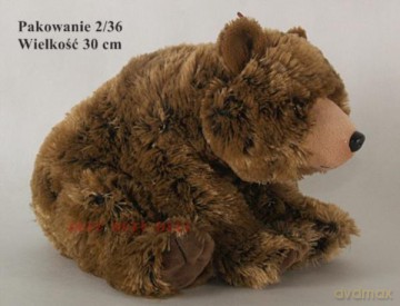 Niedźwiedź