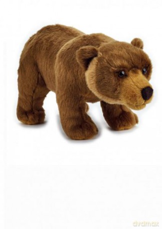 Niedźwiedź Grizzly plusz basic