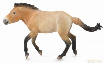 Ogier Przewalski [FIGURKA]