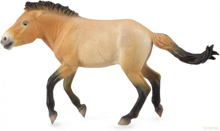 Ogier Przewalski [FIGURKA]