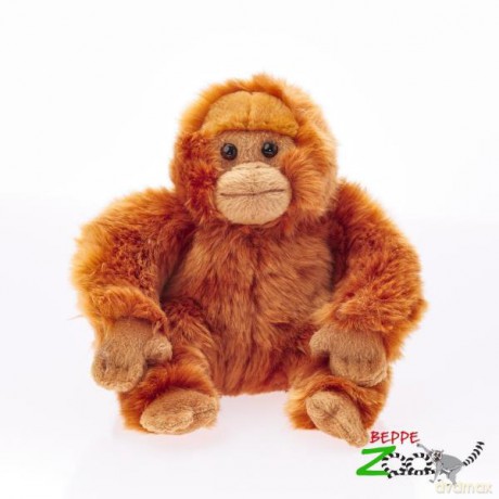Orangutan