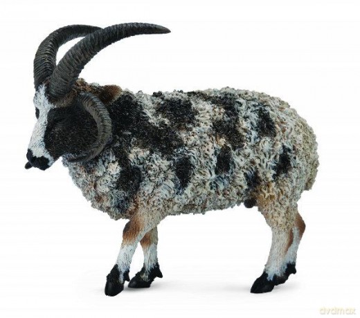 Owca wieloroga [FIGURKA]