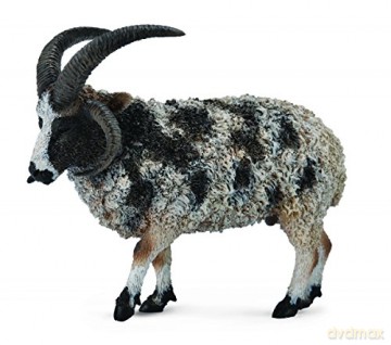 Owca wieloroga [FIGURKA]