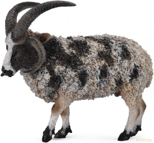 Owca wieloroga [FIGURKA]