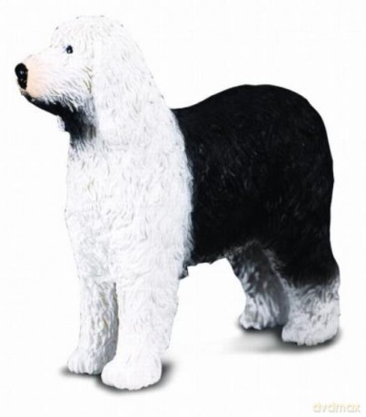 Owczarek staroangielski Bobtail [FIGURKA]