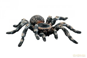 Pająk Tarantula [FIGURKA]