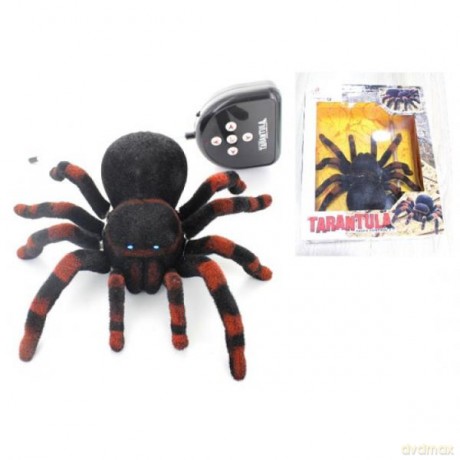 Pająk Tarantula na radio