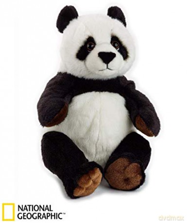 Panda plusz basic
