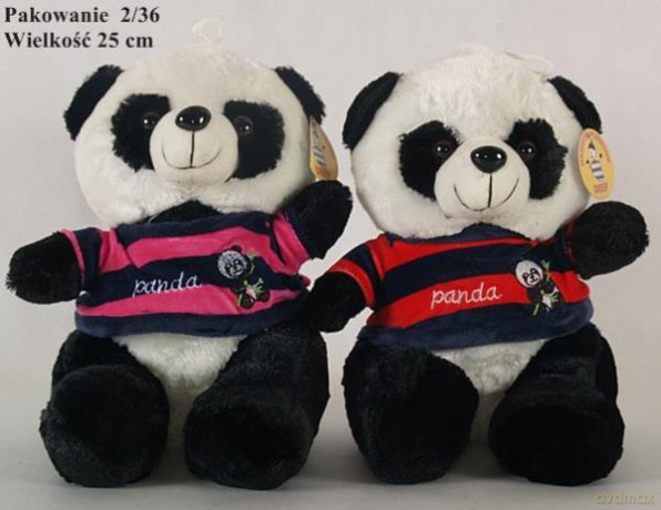 Panda w koszulce średnia