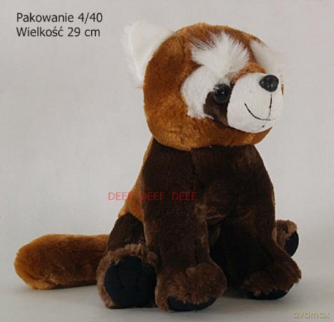 Pandka Ruda