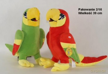 Papuga duża