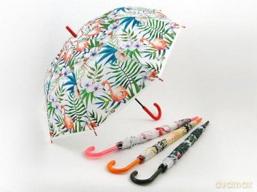 Parasol flamingi