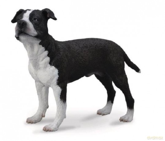 Pies american staffordshire terrier [FIGURKA]